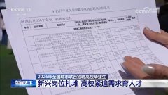 视网动静：2026年全
